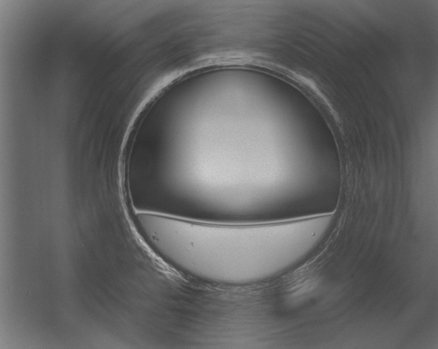 X0000054371424200507290819