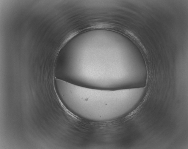 X0000054371425200507290819