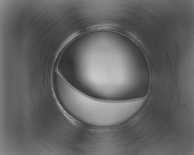 X0000054371426200507290819