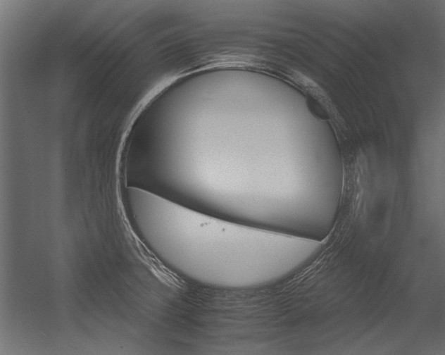 X0000054371427200507290819