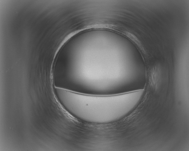X0000054371428200507290819