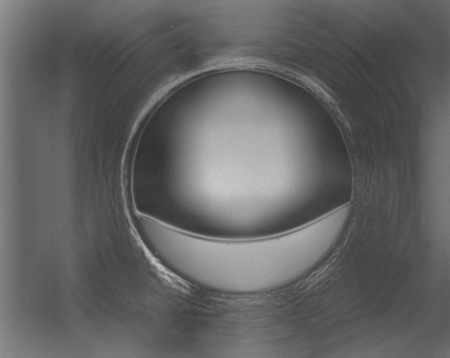 X0000054371430200507290819