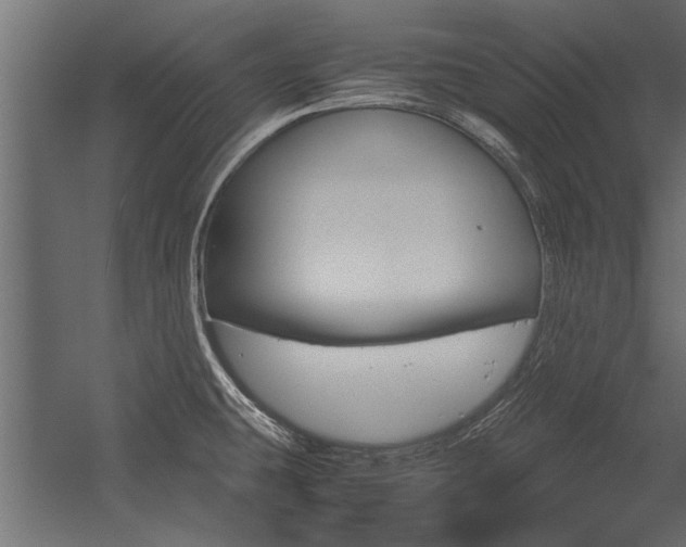 X0000054371431200507290819