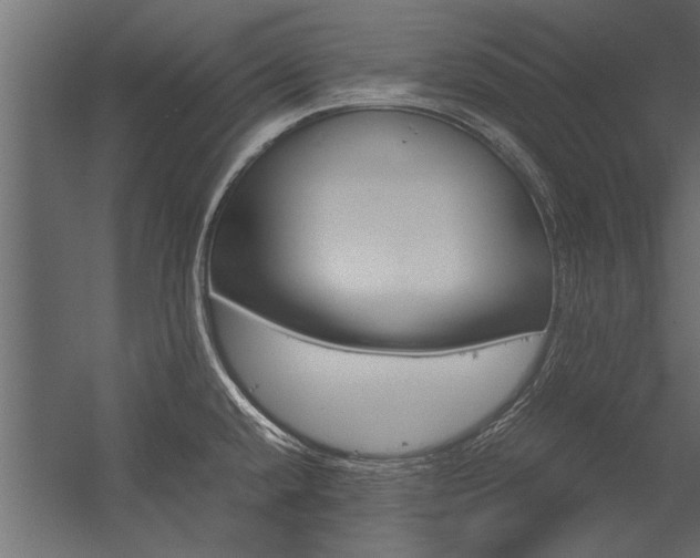 X0000054371432200507290819