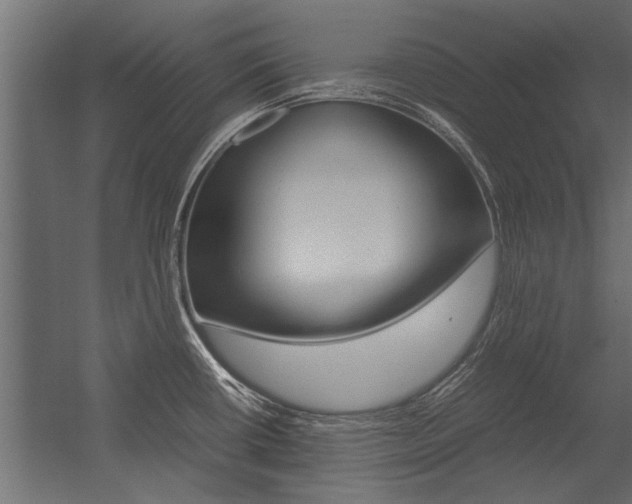 X0000054371434200507290819