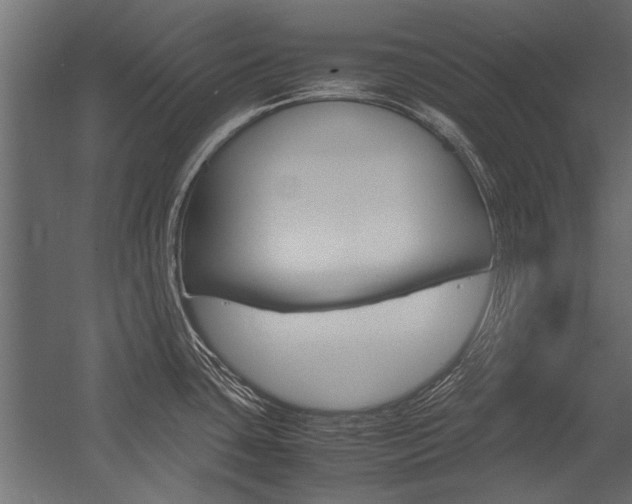 X0000054371435200507290819
