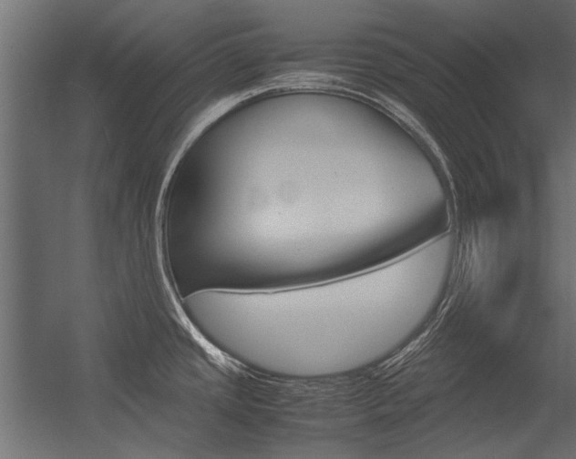 X0000054371437200507290819