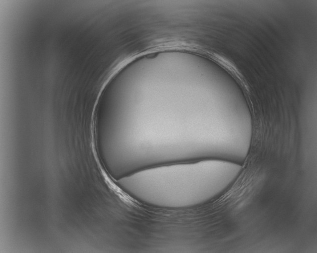 X0000054371439200507290819