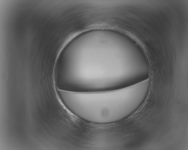 X0000054371440200507290819