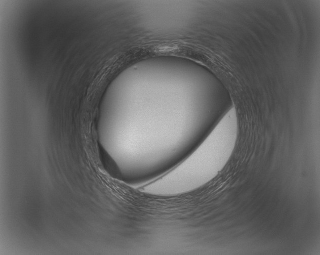 X0000054371441200507290818
