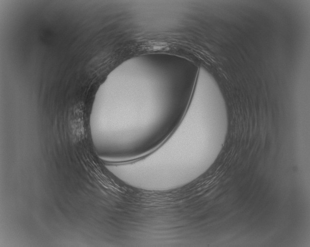 X0000054371442200507290818