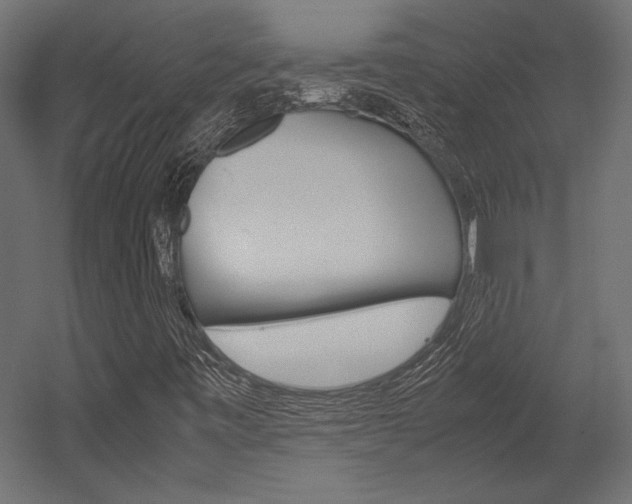 X0000054371443200507290818