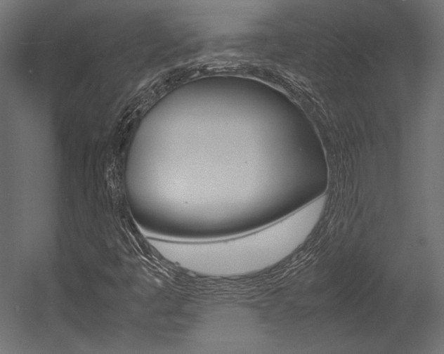 X0000054371445200507290818