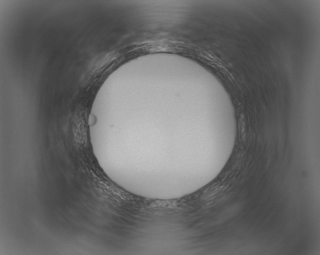 X0000054371446200507290818