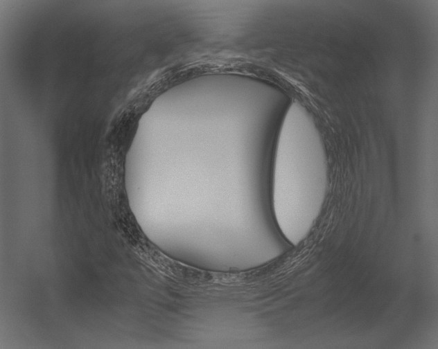 X0000054371447200507290818