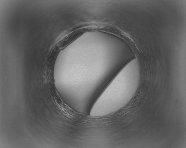 X0000054371448200507290818