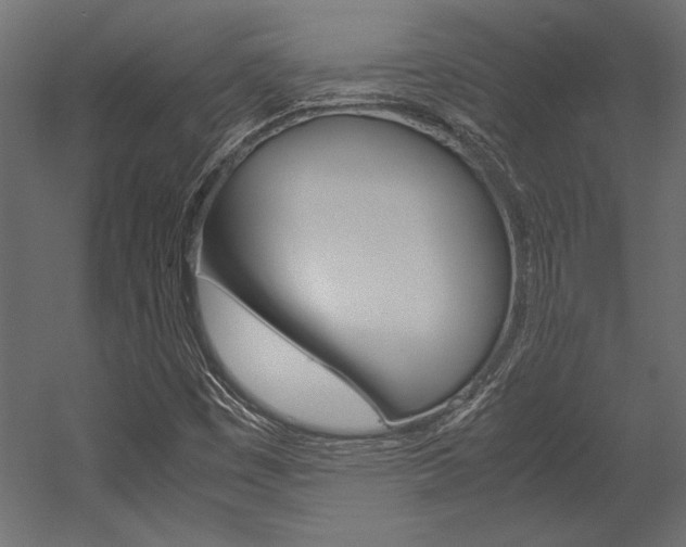 X0000054371449200507290818