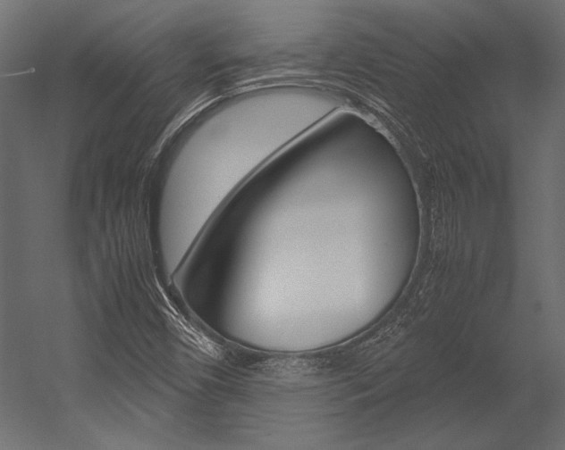 X0000054371450200507290818