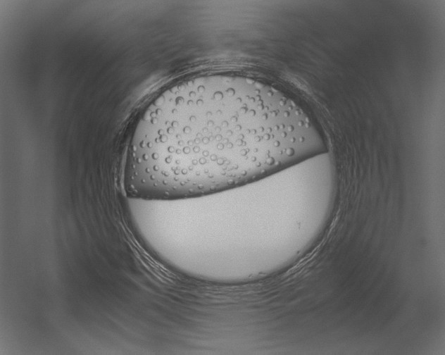 X0000054371451200507290818