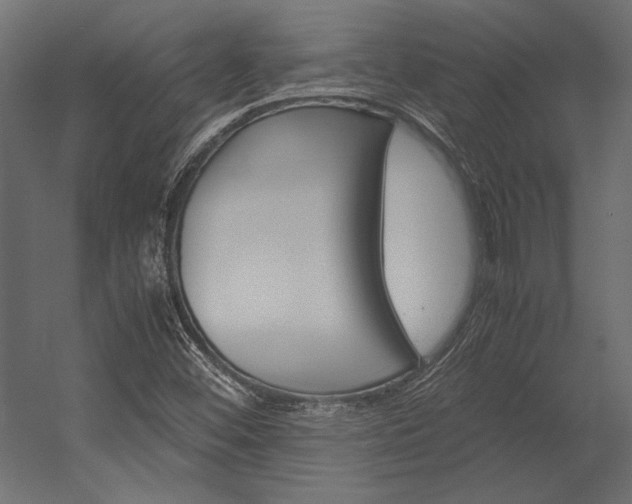 X0000054371452200507290818