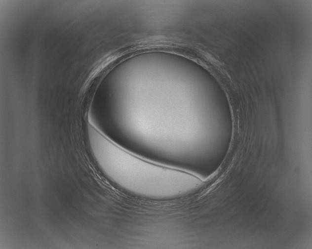 X0000054371453200507290818