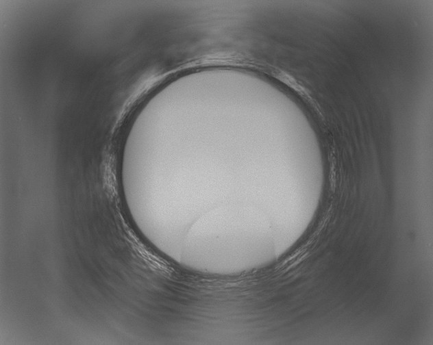 X0000054371454200507290818