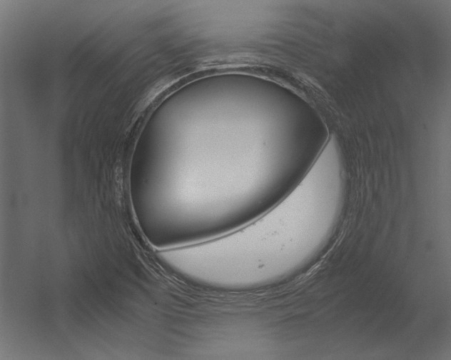 X0000054371457200507290818