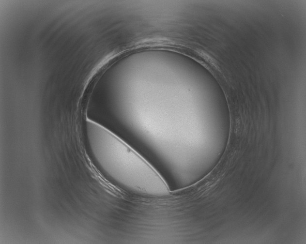 X0000054371458200507290818