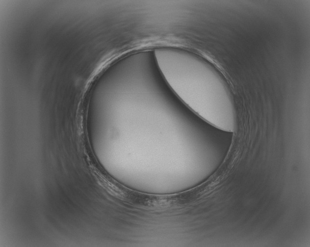 X0000054371459200507290818