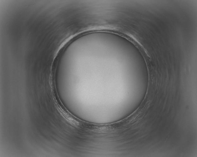 X0000054371460200507290818