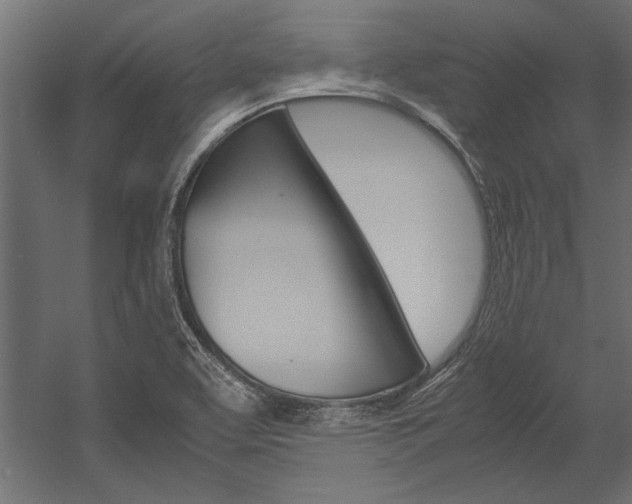 X0000054371463200507290818