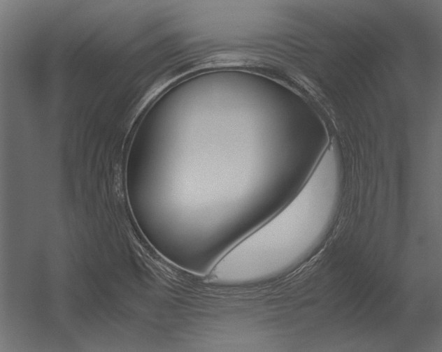 X0000054371465200507290818