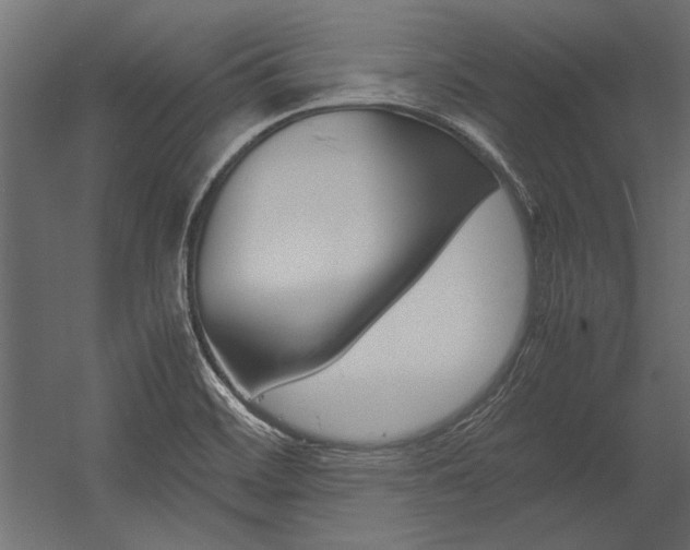 X0000054371468200507290818