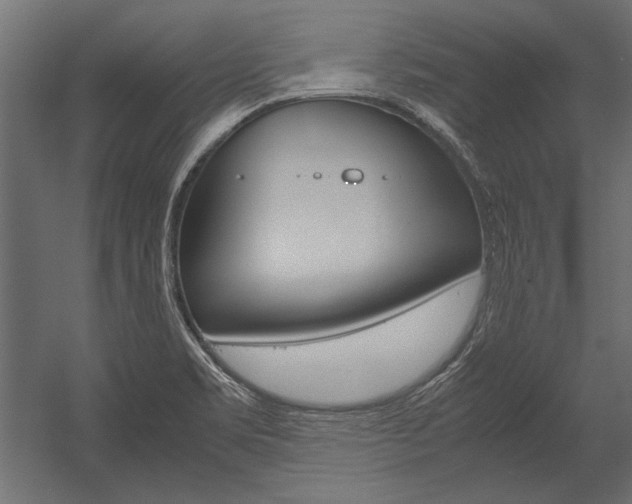 X0000054371469200507290818
