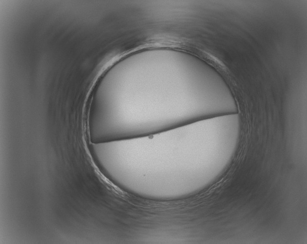 X0000054371471200507290818