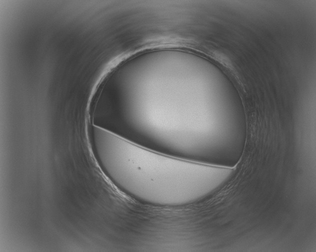 X0000054371472200507290818