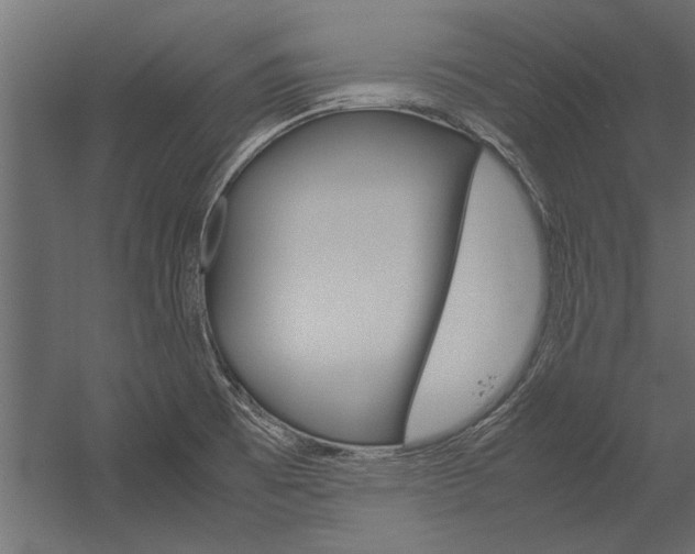 X0000054371473200507290818