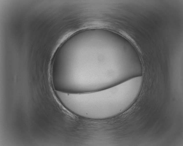 X0000054371477200507290818