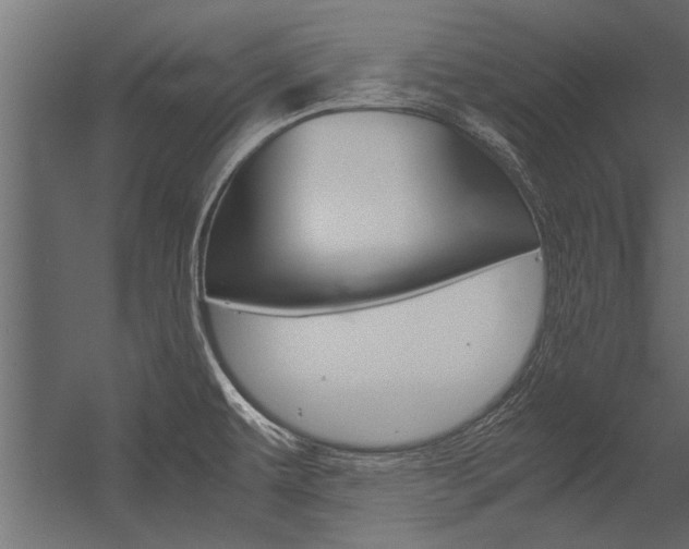 X0000054371479200507290818