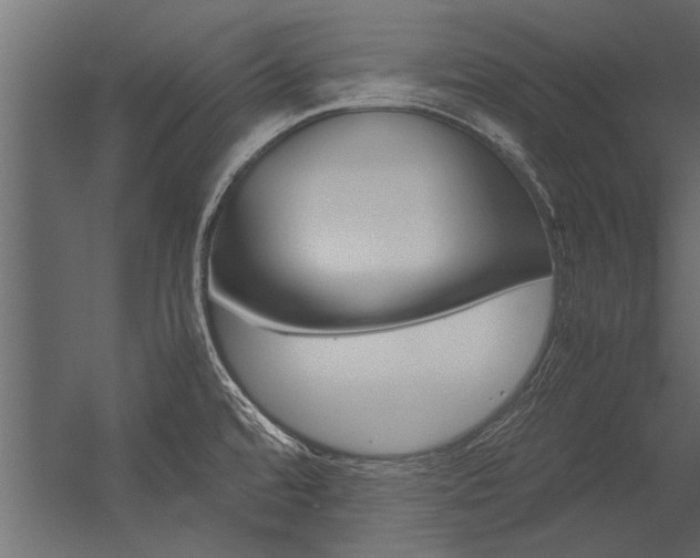 X0000054371480200507290818