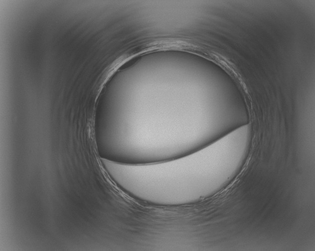 X0000054371481200507290818