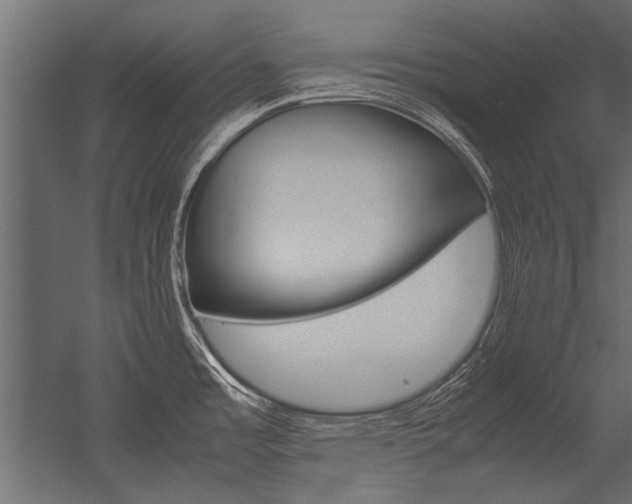 X0000054371485200507290818