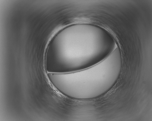 X0000054371488200507290818