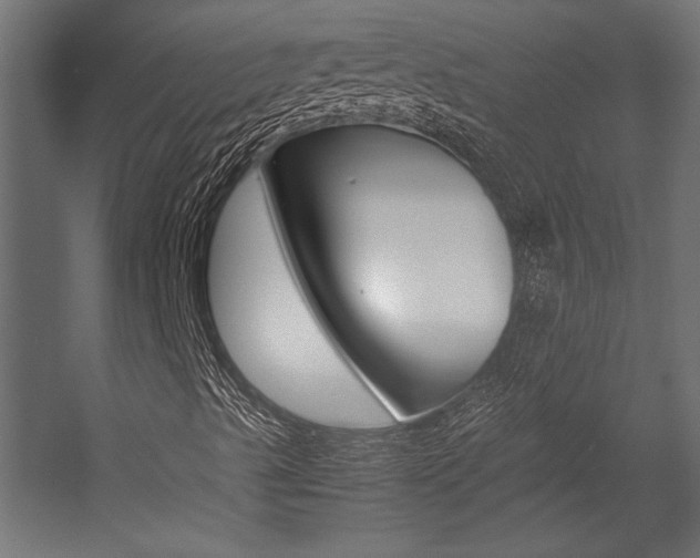 X0000054371489200507290817