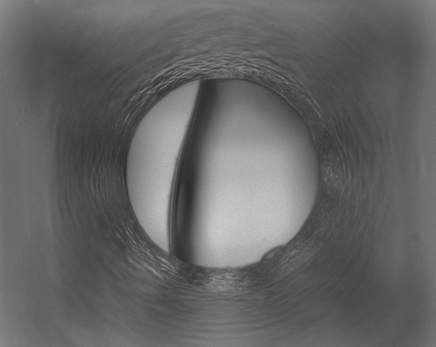 X0000054371490200507290817