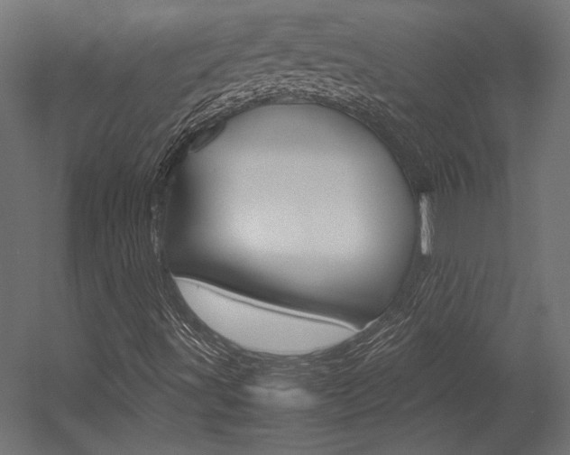 X0000054371491200507290817
