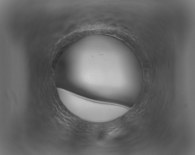 X0000054371493200507290817