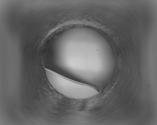 X0000054371494200507290817