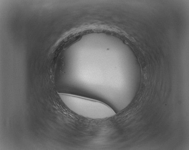 X0000054371495200507290817