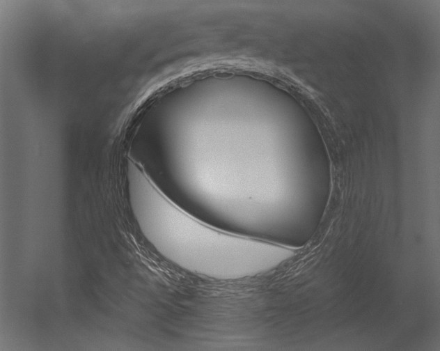 X0000054371496200507290817